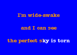 I'm wideawake
and I can see

the perfect sky is torn