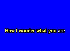 How I wonder what you are