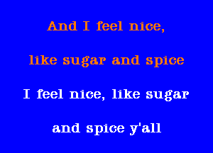 And I feel nice,
like sugar and spice
I feel nice, like sugar

and spice y'all