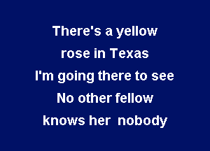 There's a yellow

rose in Texas
I'm going there to see
No other fellow
knows her nobody