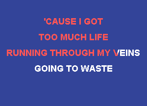 'CAUSE I GOT
TOO MUCH LIFE
RUNNING THROUGH MY VEINS

GOING TO WASTE