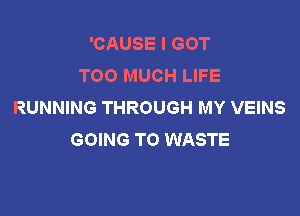 'CAUSE I GOT
TOO MUCH LIFE
RUNNING THROUGH MY VEINS

GOING TO WASTE