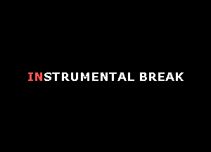 INSTRUMENTAL BREAK