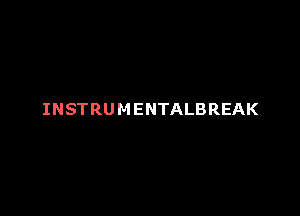 INSTRUMENTALBREAK