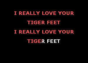 I REALLY LOVE YOUR
TIGER FEET

I REALLY LOVE YOUR
TIGER FEET

g
