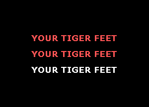 YOUR TIGER FEET

YOUR TIGER FEET
YOUR TIGER FEET