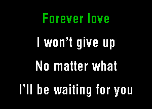 Foreverlove
lwonW give up

No matter what

VII be waiting for you