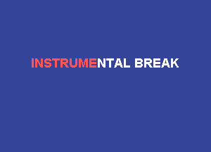 INSTRUMENTAL BREAK