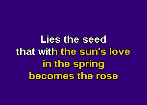 Lies the seed
that with the sun's love

in the spring
becomes the rose