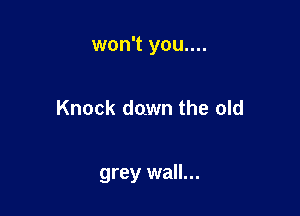 won't you....

Knock down the old

grey wall...