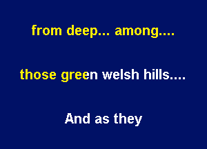 from deep... among....

those green welsh hills....

And as they
