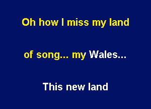 Oh how I miss my land

of song... my Wales...

This new land