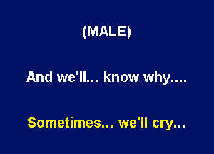 (MALE)

And we'll... know why....

Sometimes... we'll cry...