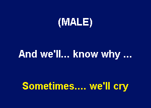 (MALE)

And we'll... know why

Sometimes.... we'll cry