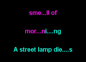 sme...ll of

mor...ni....ng

A street lamp die....s