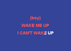 (boy)
WAKE ME UP

I CAN'T WAKE UP