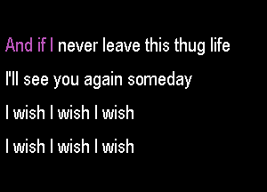And ifl never leave this thug life

I'll see you again someday
lwish I wish I wish

I wish I wish I wish