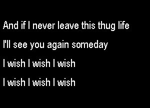 And ifl never leave this thug life

I'll see you again someday
lwish I wish I wish

I wish I wish I wish