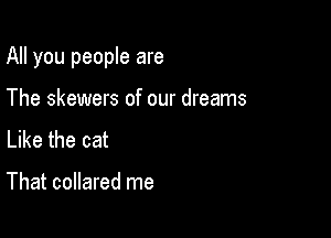 All you people are

The skewers of our dreams
Like the cat

That collared me