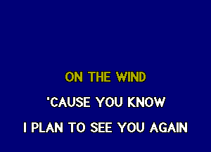 ON THE WIND
'CAUSE YOU KNOW
I PLAN TO SEE YOU AGAIN