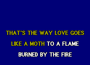 THAT'S THE WAY LOVE GOES
LIKE A MOTH TO A FLAME
BURNED BY THE FIRE