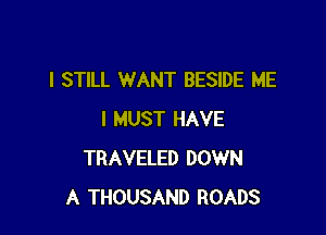 I STILL WANT BESIDE ME

I MUST HAVE
TRAVELED DOWN
A THOUSAND ROADS