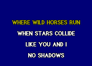 WHERE WILD HORSES RUN

WHEN STARS COLLIDE
LIKE YOU AND I
N0 SHADOWS
