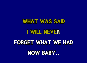 WHAT WAS SAID

I WILL NEVER
FORGET WHAT WE HAD
NOW BABY..