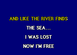 AND LIKE THE RIVER FINDS

THE SEA...
I WAS LOST
NOW I'M FREE