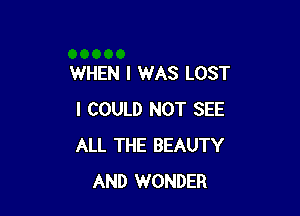 WHEN I WAS LOST

I COULD NOT SEE
ALL THE BEAUTY
AND WONDER
