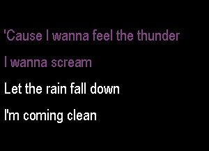 'Cause I wanna feel the thunder

I wanna scream

Let the rain fall down

I'm coming clean