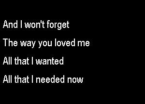 And I won't forget

The way you loved me
All that I wanted
All that I needed now