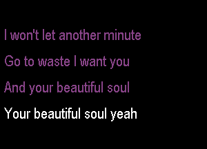 I won't let another minute
Go to waste I want you

And your beautiful soul

Your beautiful soul yeah