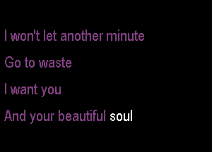 I won't let another minute
Go to waste

I want you

And your beautiful soul