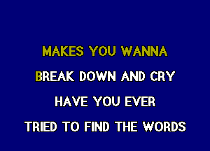 MAKES YOU WANNA

BREAK DOWN AND CRY
HAVE YOU EVER
TRIED TO FIND THE WORDS