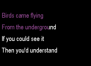 Birds came flying

From the underground

If you could see it

Then you'd understand