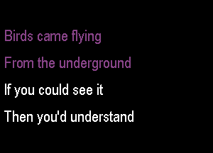 Birds came flying

From the underground

If you could see it

Then you'd understand