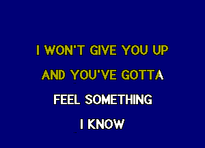 I WON'T GIVE YOU UP

AND YOU'VE GOTTA
FEEL SOMETHING
I KNOW