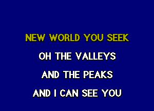 NEW WORLD YOU SEEK

0H THE VALLEYS
AND THE PEAKS
AND I CAN SEE YOU