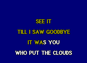 SEE IT

TILL I SAW GOODBYE
IT WAS YOU
WHO PUT THE CLOUDS
