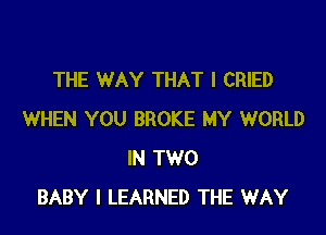 THE WAY THAT I CRIED

WHEN YOU BROKE MY WORLD
IN TWO
BABY I LEARNED THE WAY
