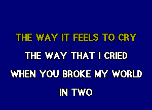 THE WAY IT FEELS T0 CRY

THE WAY THAT I CRIED
WHEN YOU BROKE MY WORLD
IN TWO