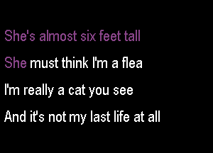 She's almost six feet tall

She must think I'm a flea

I'm really a cat you see

And it's not my last life at all