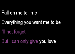 Fall on me tell me
Everything you want me to be

I'll not forget

But I can only give you love