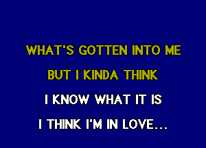 WHAT'S GOTTEN INTO ME

BUT I KINDA THINK
I KNOW WHAT IT IS
I THINK I'M IN LOVE...