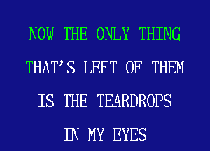 NOW THE ONLY THING
THATS LEFT OF THEM
IS THE TEARDROPS
IN MY EYES