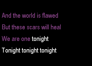 And the world is flawed
But these scars will heal

We are one tonight

Tonight tonight tonight