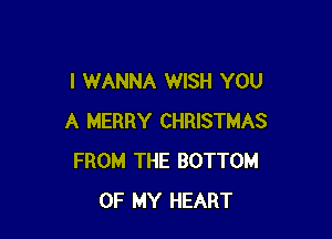 I WANNA WISH YOU

A MERRY CHRISTMAS
FROM THE BOTTOM
OF MY HEART