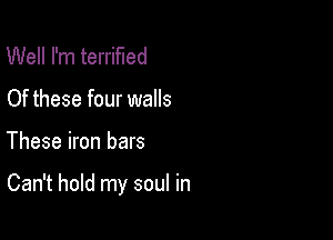 Well I'm terrified
Of these four walls

These iron bars

Can't hold my soul in