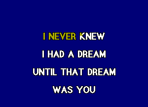 I NEVER KNEW

I HAD A DREAM
UNTIL THAT DREAM
WAS YOU